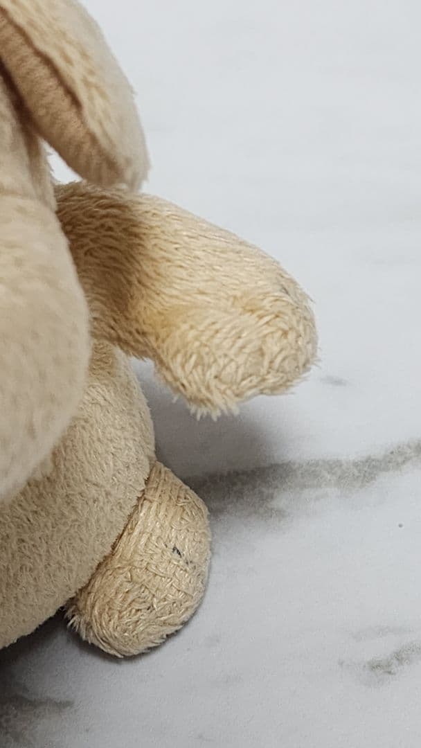 こえマネわんちゃん　動作品　寺子屋　バナナサンド