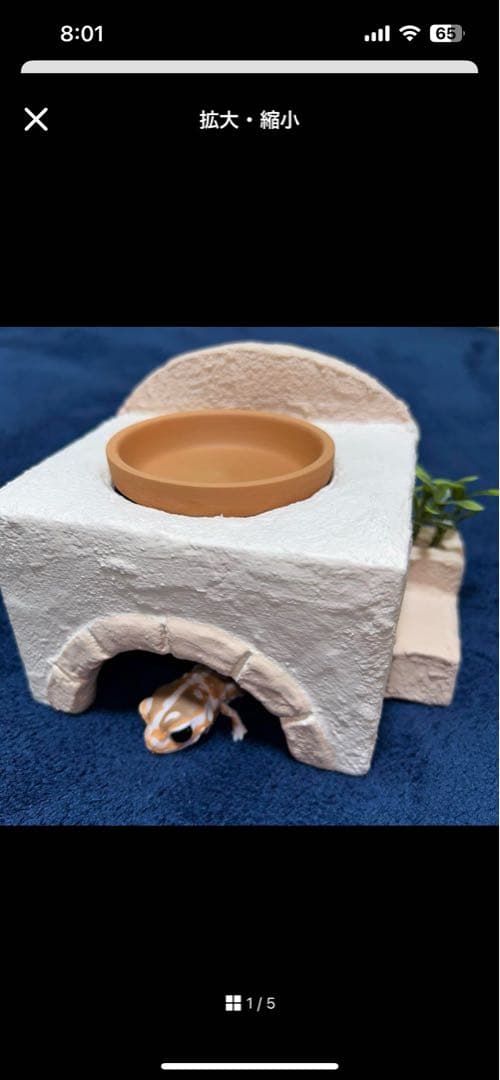 爬虫類 ウェットシェルター 29