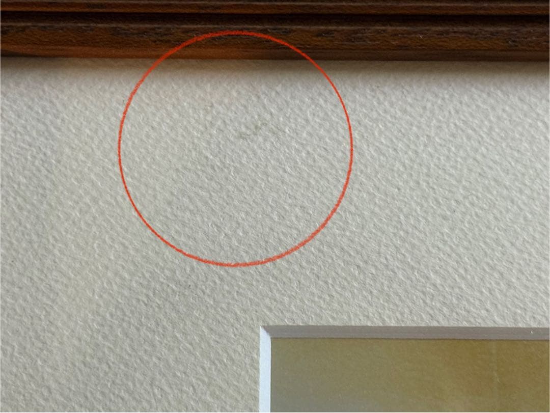 Elijah Wood 直筆サイン ロード・オブ・ザ・リング フロド 証明書あり