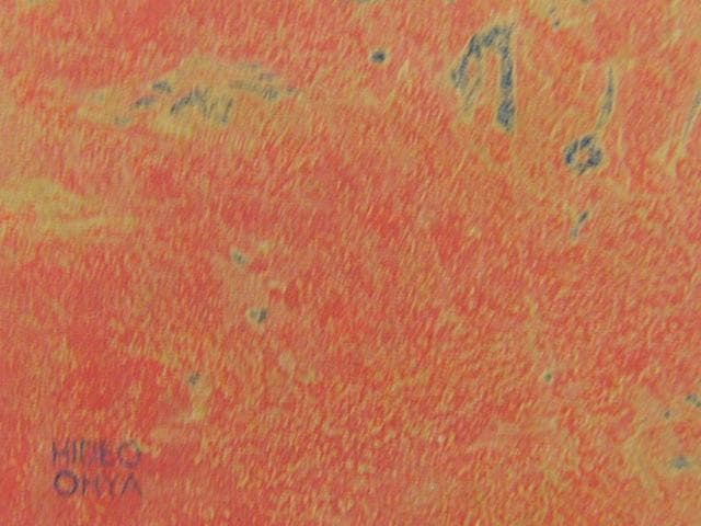 大矢英雄、昼の在るところ、希少な画集より、新品高級額