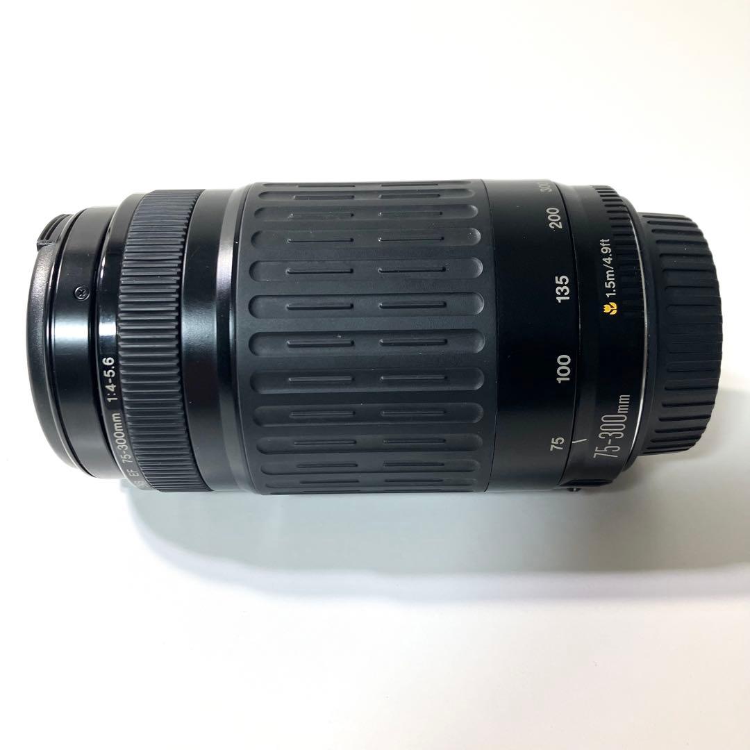【美品】 Canon EF 75-300mm キャノン 望遠レンズ カメラ