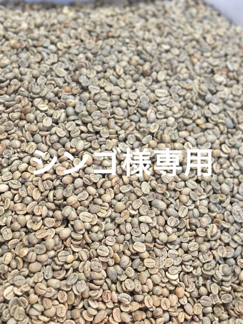 爆安!!【コーヒー生豆】タンザニアAA 10kg※送料無料