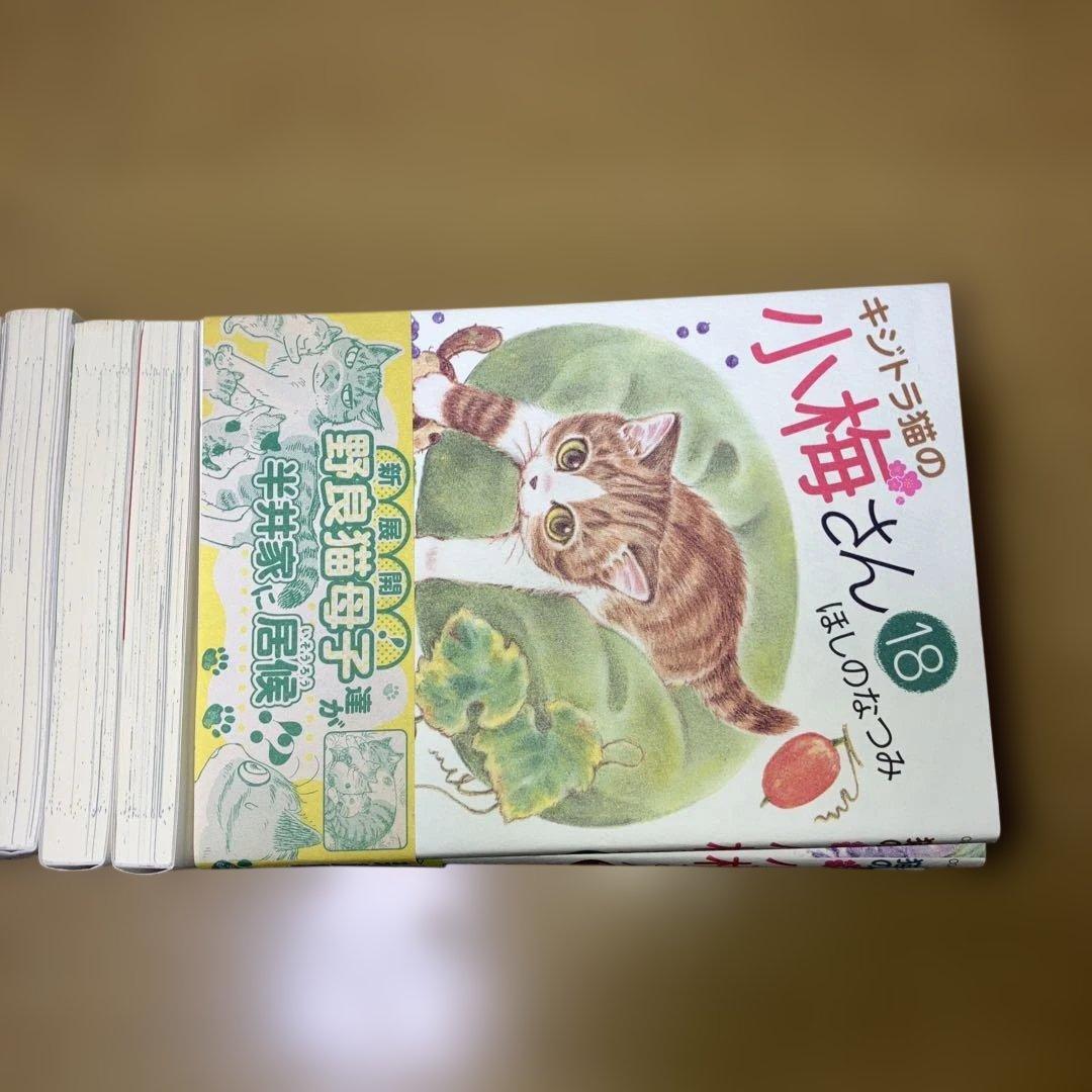 キジトラ猫の小梅さん＋子猫の小梅さん　　ほしのなつみ／少年画報社