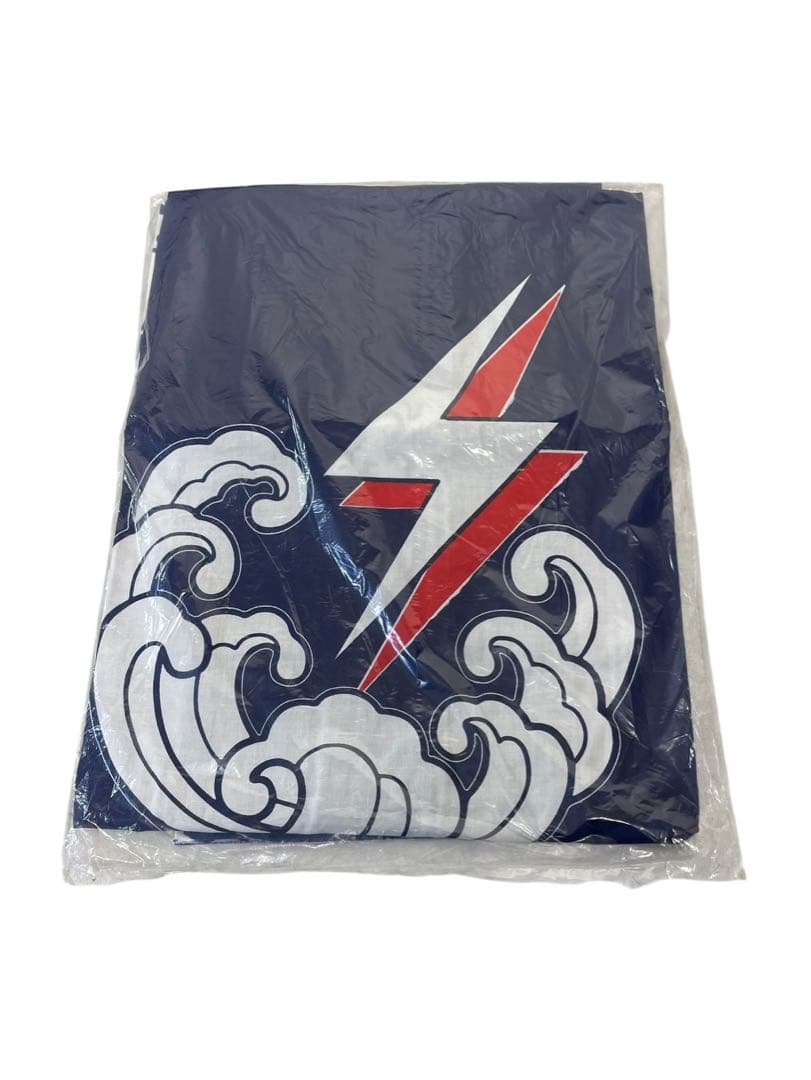 未使用 サザンオールスターズ 茅ヶ崎ライブ2000 法被 うちわ セット