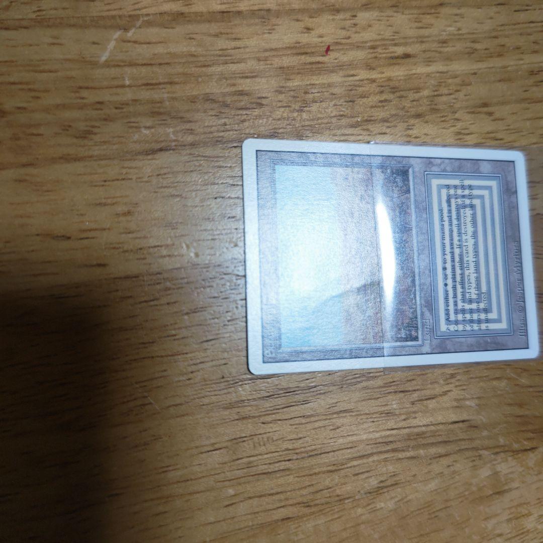 【断捨離】MTG 悲しみのscrubland【説明必読】