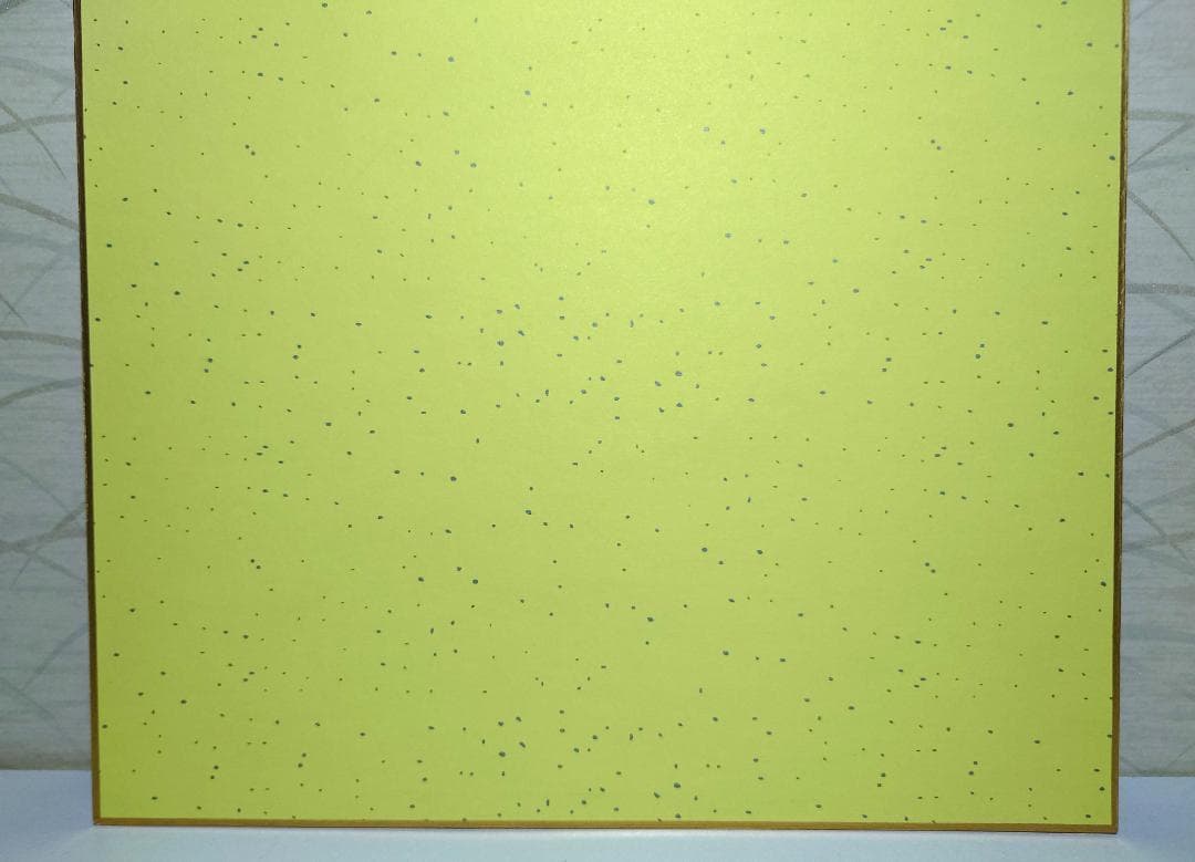 【美品】色紙直筆サイン入り,ZARD,坂井泉水さん,額付き,写真(3枚)セット