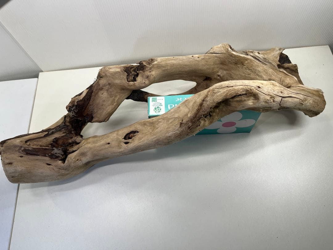 n85大型流木 アク抜き済み 爬虫類シェルター 登り木 レイアウト用 インテリア