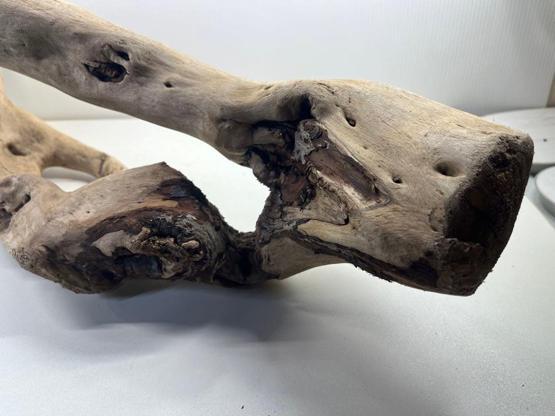 n85大型流木 アク抜き済み 爬虫類シェルター 登り木 レイアウト用 インテリア