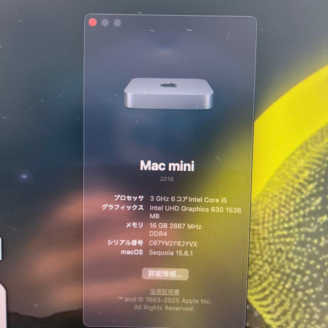 Macデスクトップ Mac mini late 2018 SSD256GB 16GB Core i5