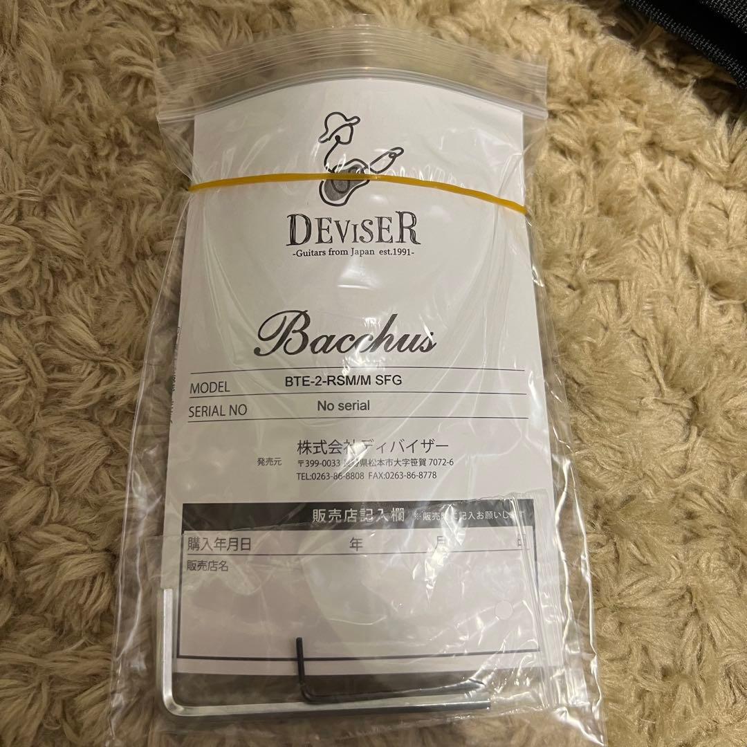 Bacchus BTE-2-RSM/M SFG テレキャスタイプ P90