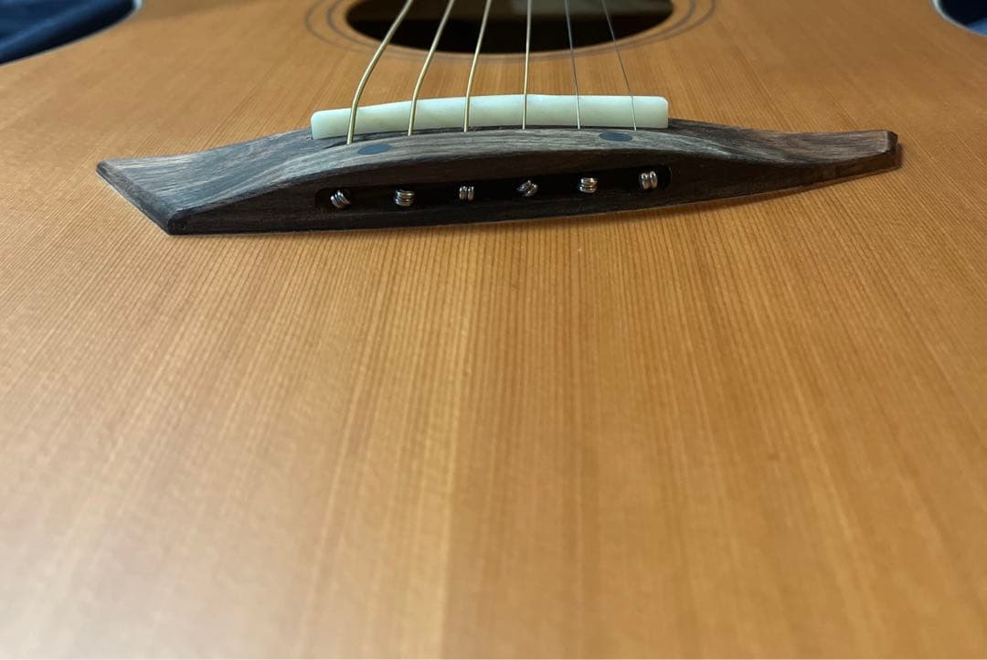 Ibanez PA230E-NSL エレアコ