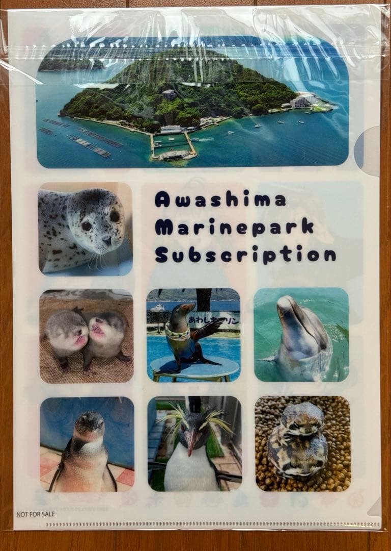 あわしま　サブスク限定クリアファイル