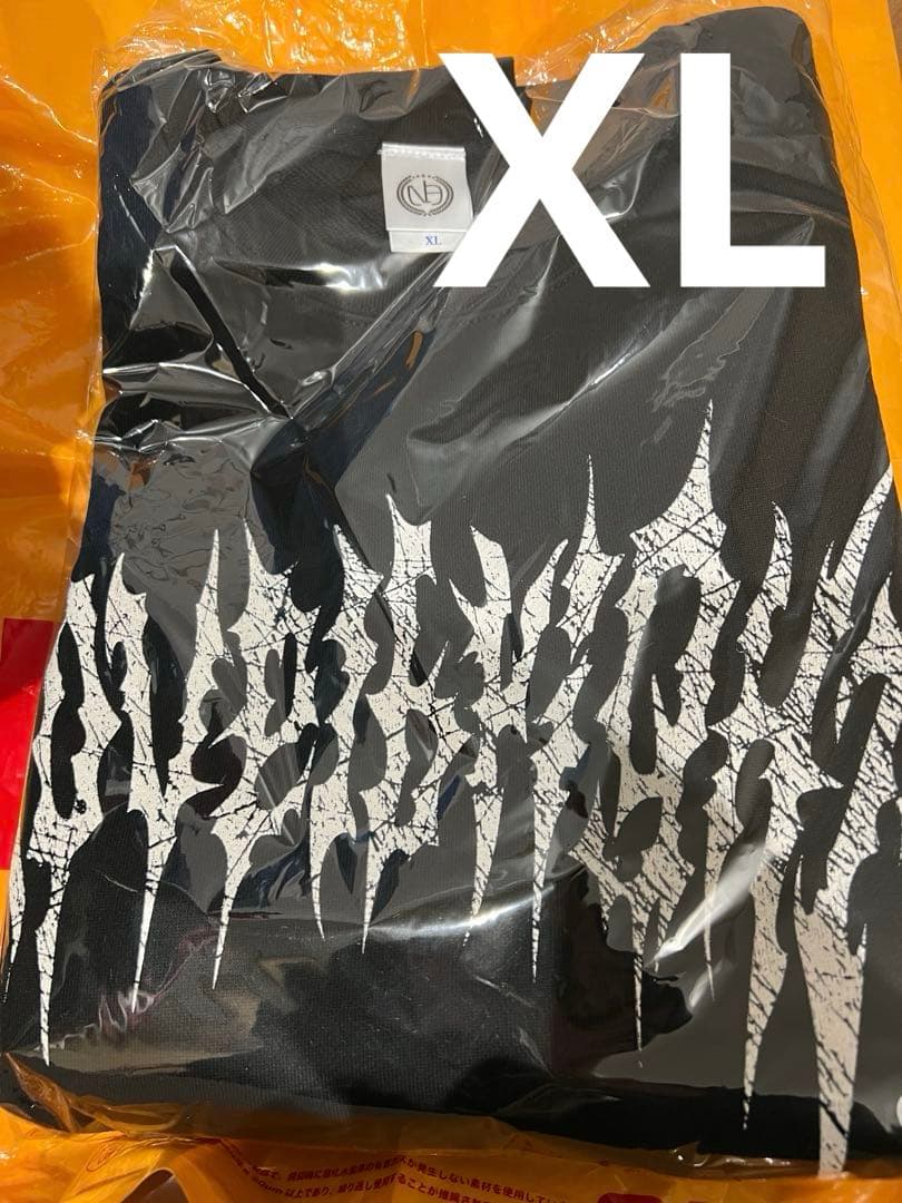 ミュージシャン Novelbright