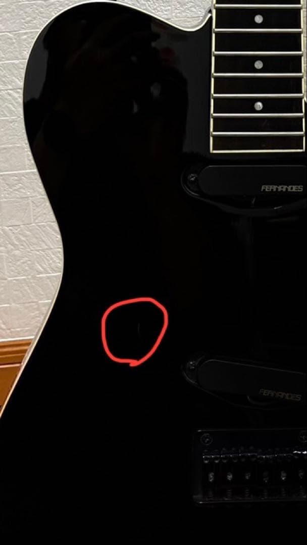 フェルナンデス LIMITED EDITION