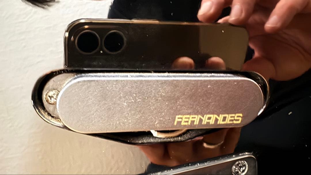 フェルナンデス LIMITED EDITION