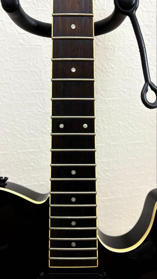 フェルナンデス LIMITED EDITION