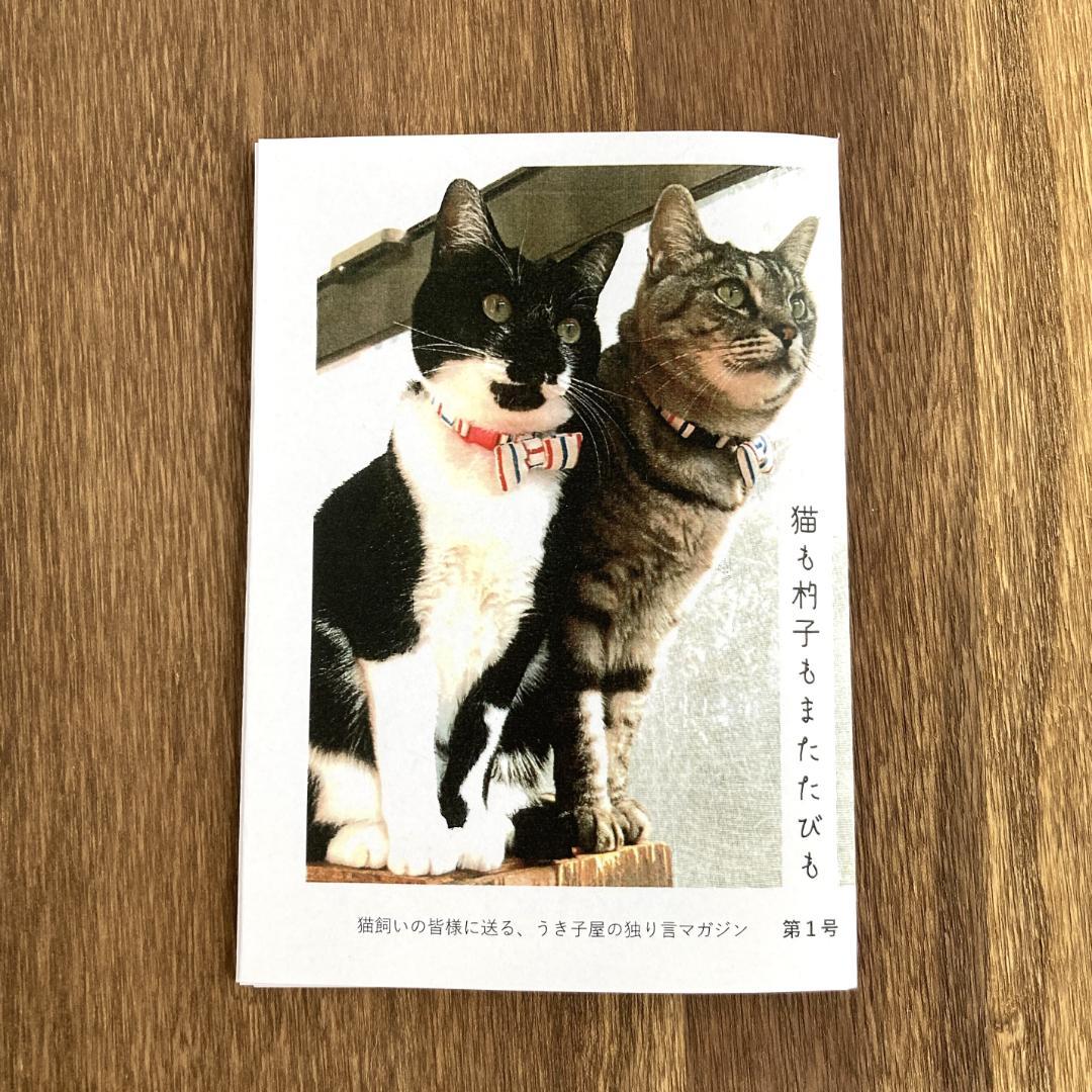 Magazine 猫も杓子もまたたびも 第一号