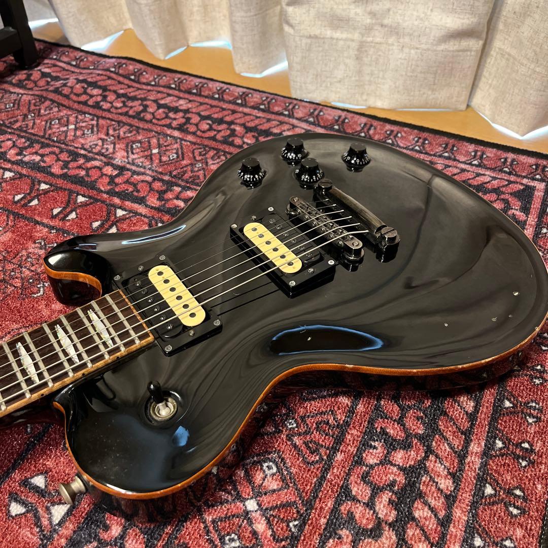 Fujigen Expert FL レスポール