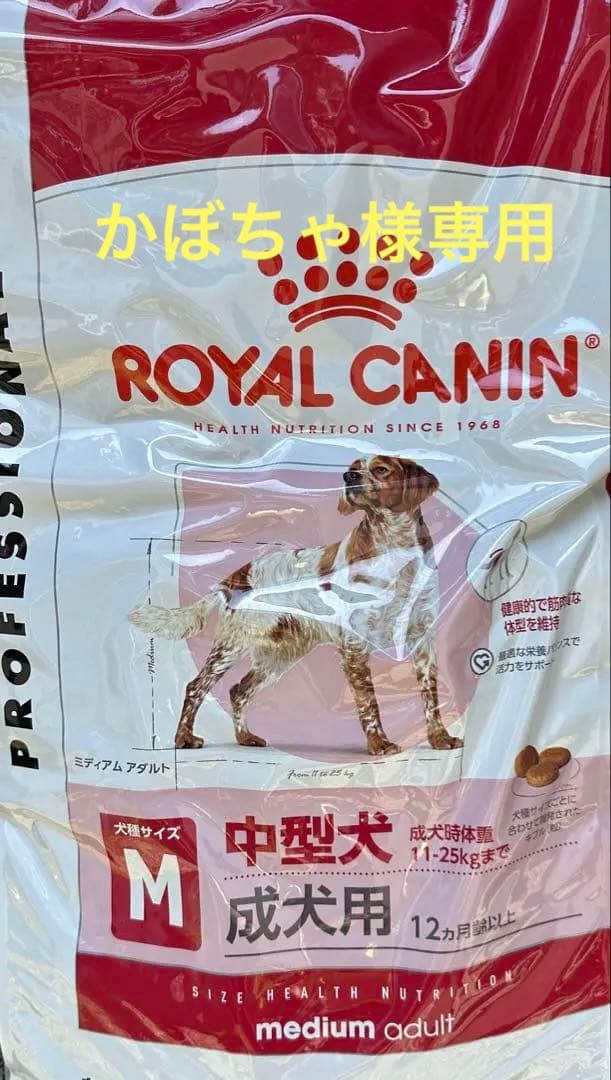  CANIN 中型犬 成犬用 ミディアム アダルト16kg