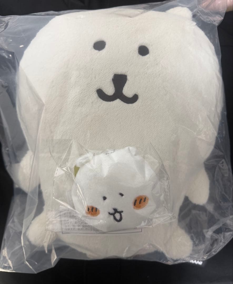 ナガノくじ　B賞　E賞　セット