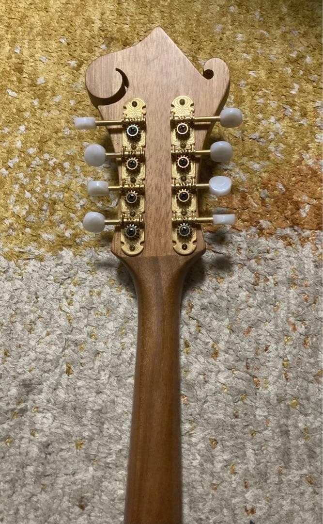 Blanton BM-25F マンドリン