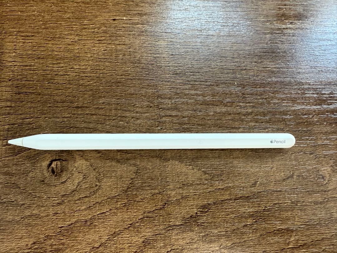 iPad Pro 11インチ(第2世代)256GB+純正Apple Pencil