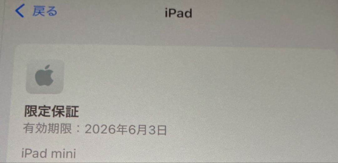 Apple iPad mini 第7世代　a17 pro 128GB wifi