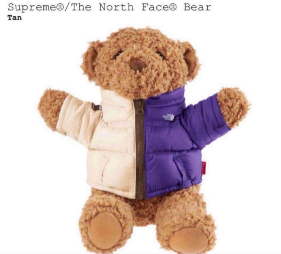 【大人気】Supreme x The North Face Bear Tan