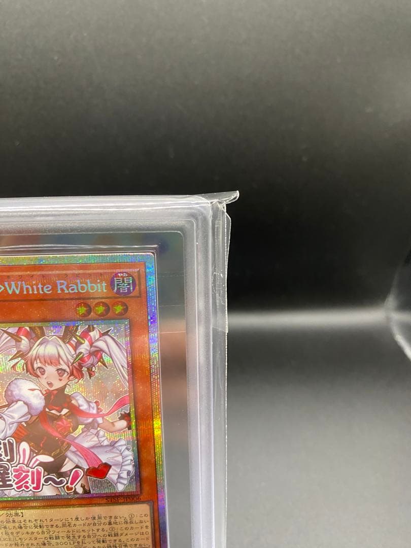 【ARS10】M∀LICE<P>White Rabbit プリズマ スタンプ