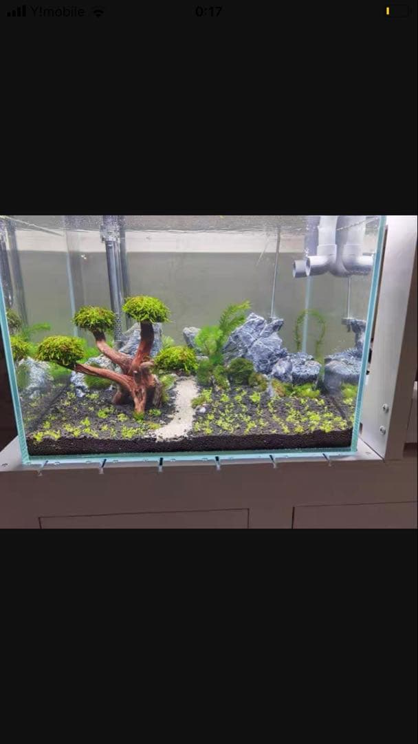 到着すぐ使える最強濾過装置、万能濾過フィルター即時発送送料込み