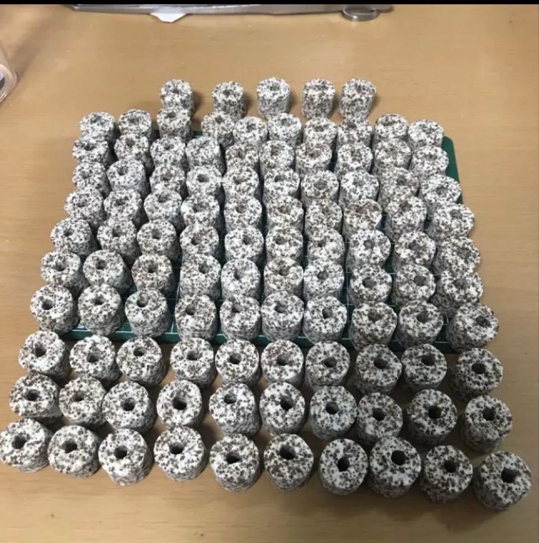 到着すぐ使える最強濾過装置、万能濾過フィルター即時発送送料込み