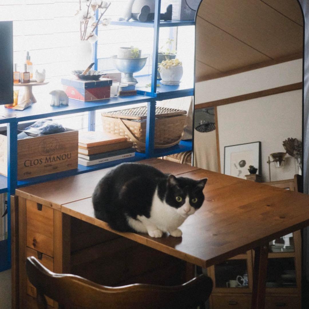 IKEA NORDEN ノールデン 折りたたみ式 ダイニングテーブル　バタフライ