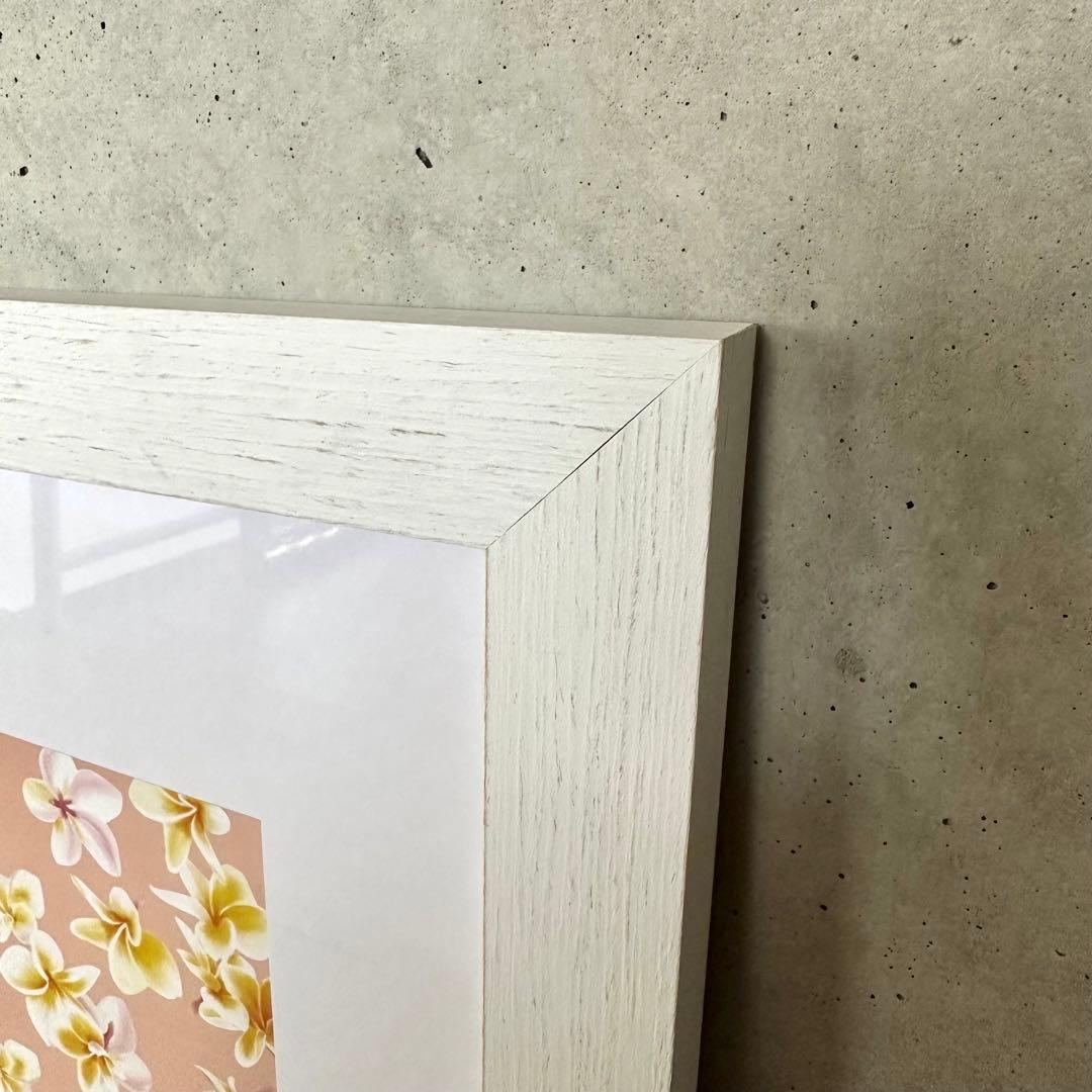 限定1点ハワイの本人から仕入れたレア版/アロハデメレ『Melia F1』額付L