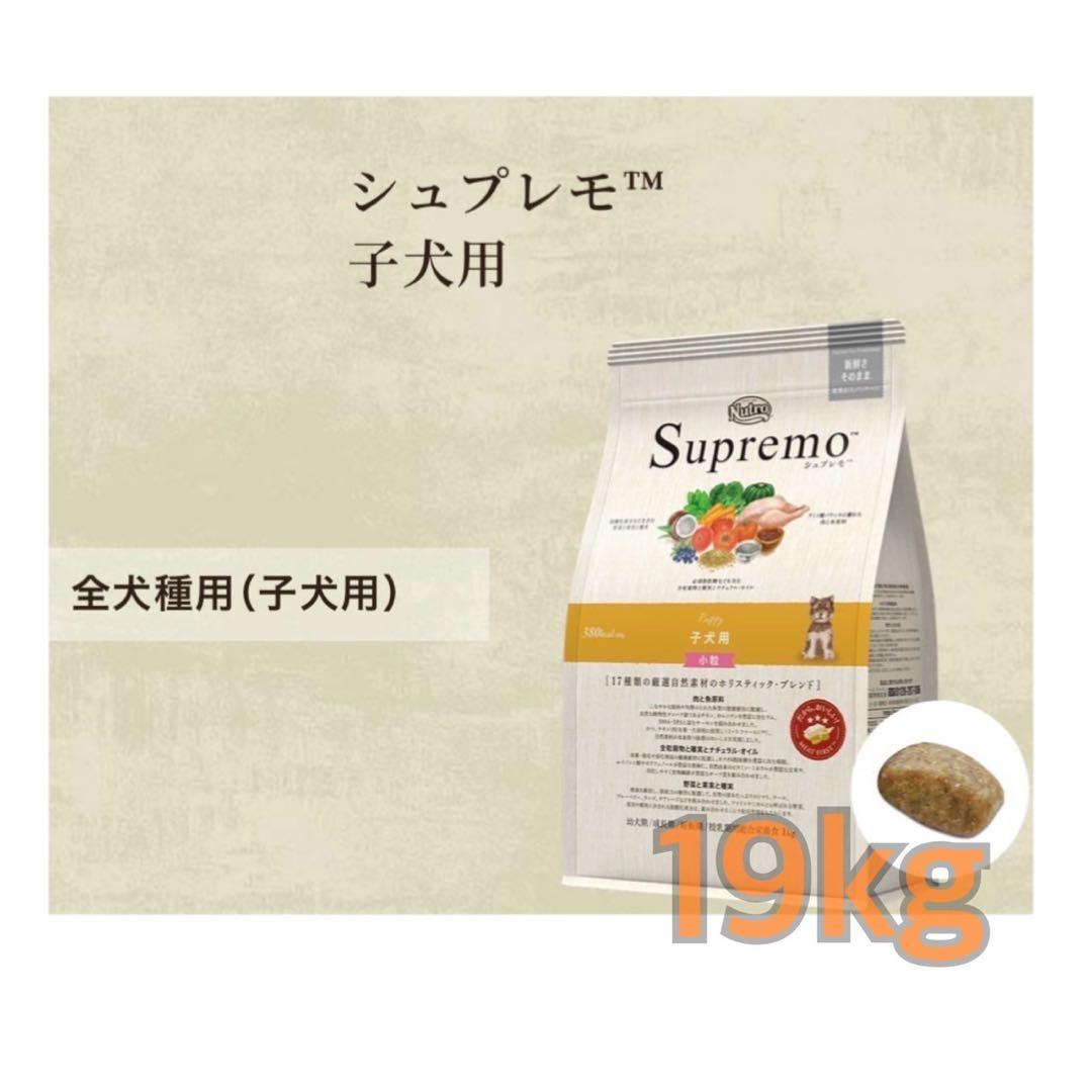ニュートロ　シュプレモ　全犬種　子犬用　19kg