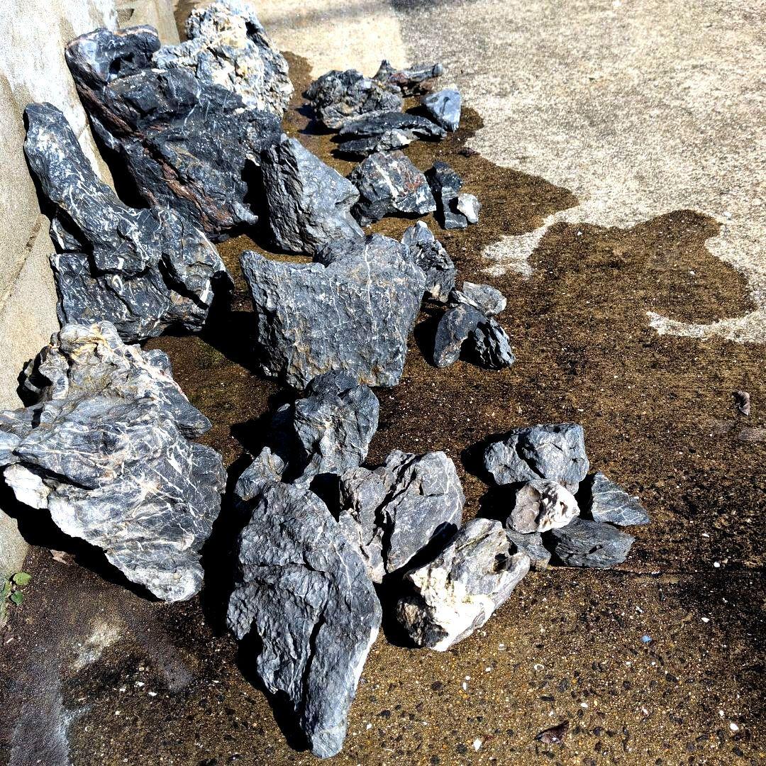 ADA ソフナイザー50 旧ロゴ