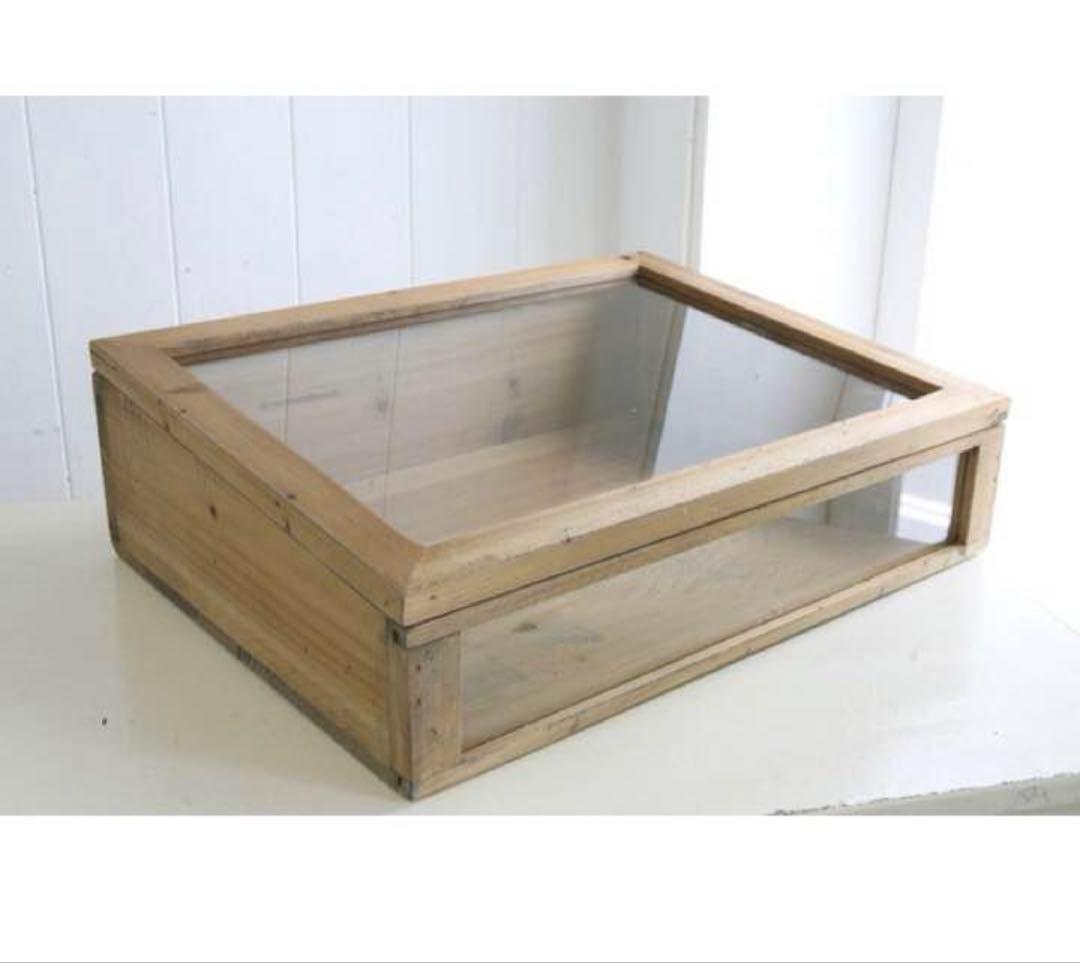 【収納ケース】ラスティパイン・ガラスケース L