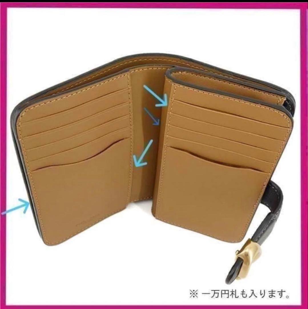 いちご　coachタビー2個セット