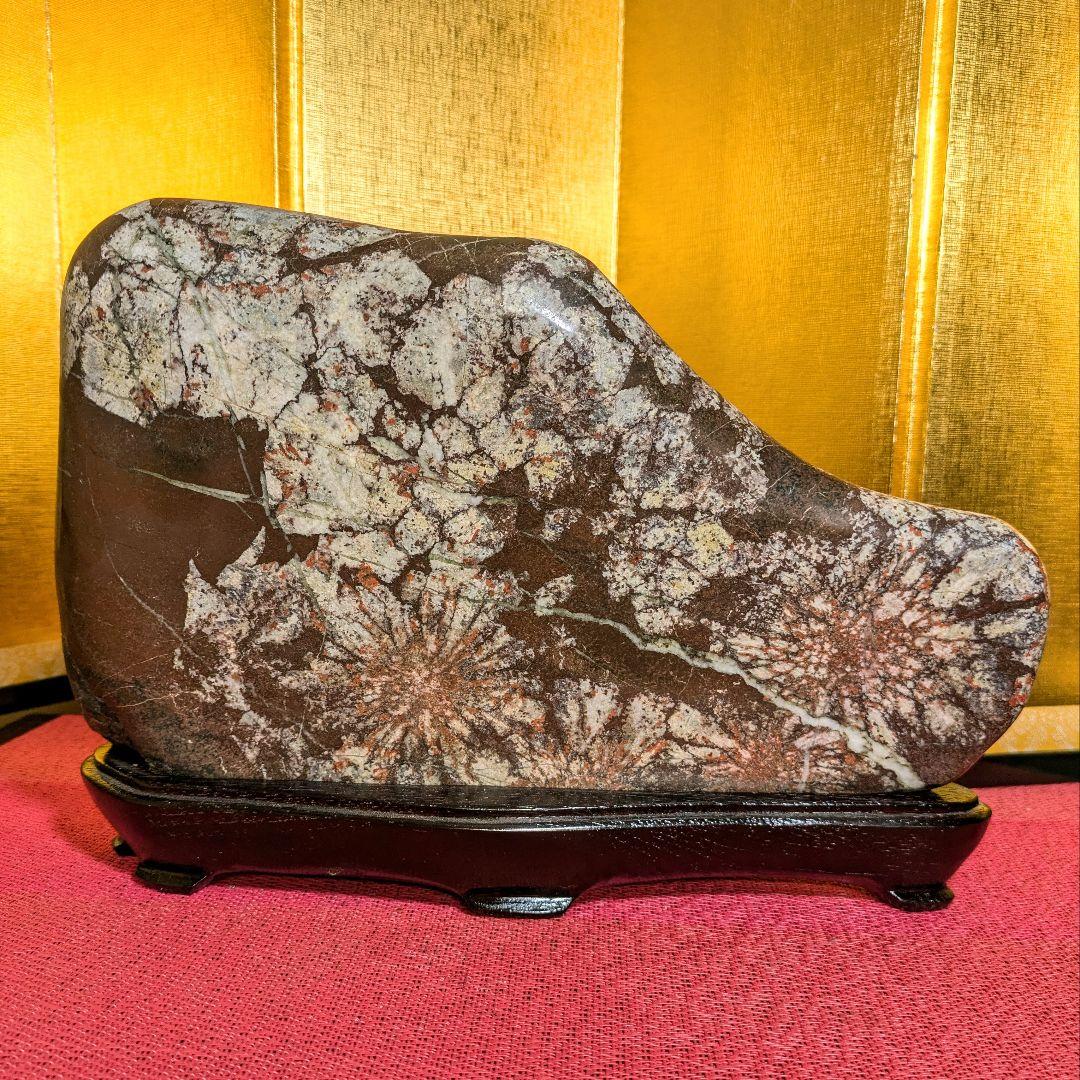 【Gojyo】菊花石 岐阜県根尾谷産5.2㌔ 鑑賞石 観賞石 水石 盆石