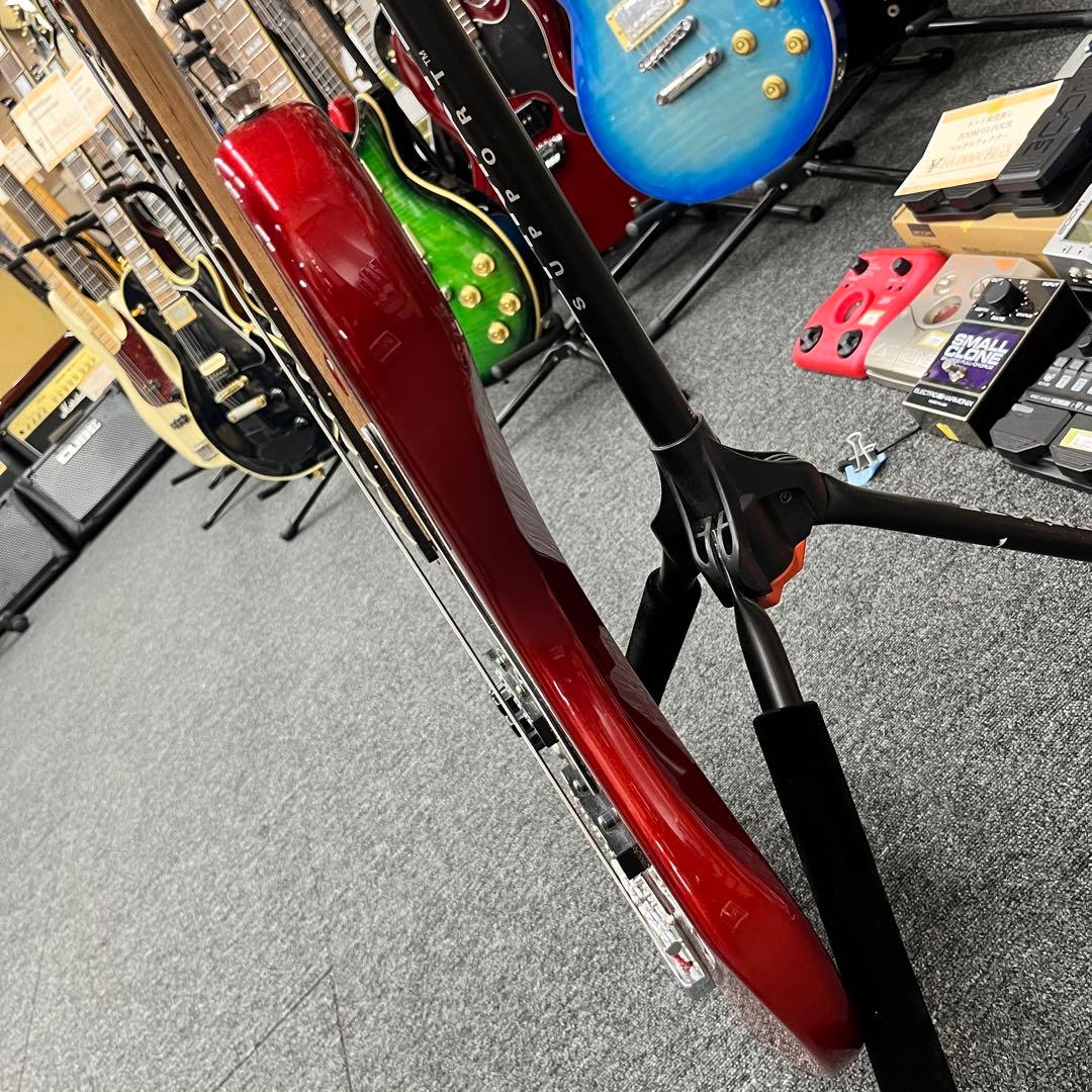 ケース追加【11205】【左利き用】 Legend by Aria Pro II