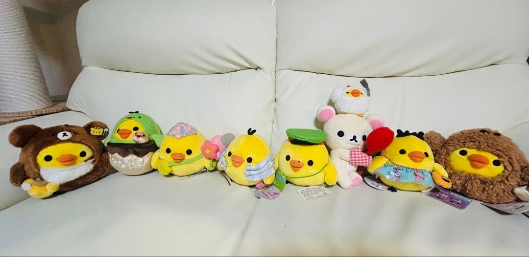 キイロイトリ　31匹