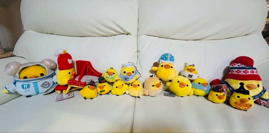 キイロイトリ　31匹