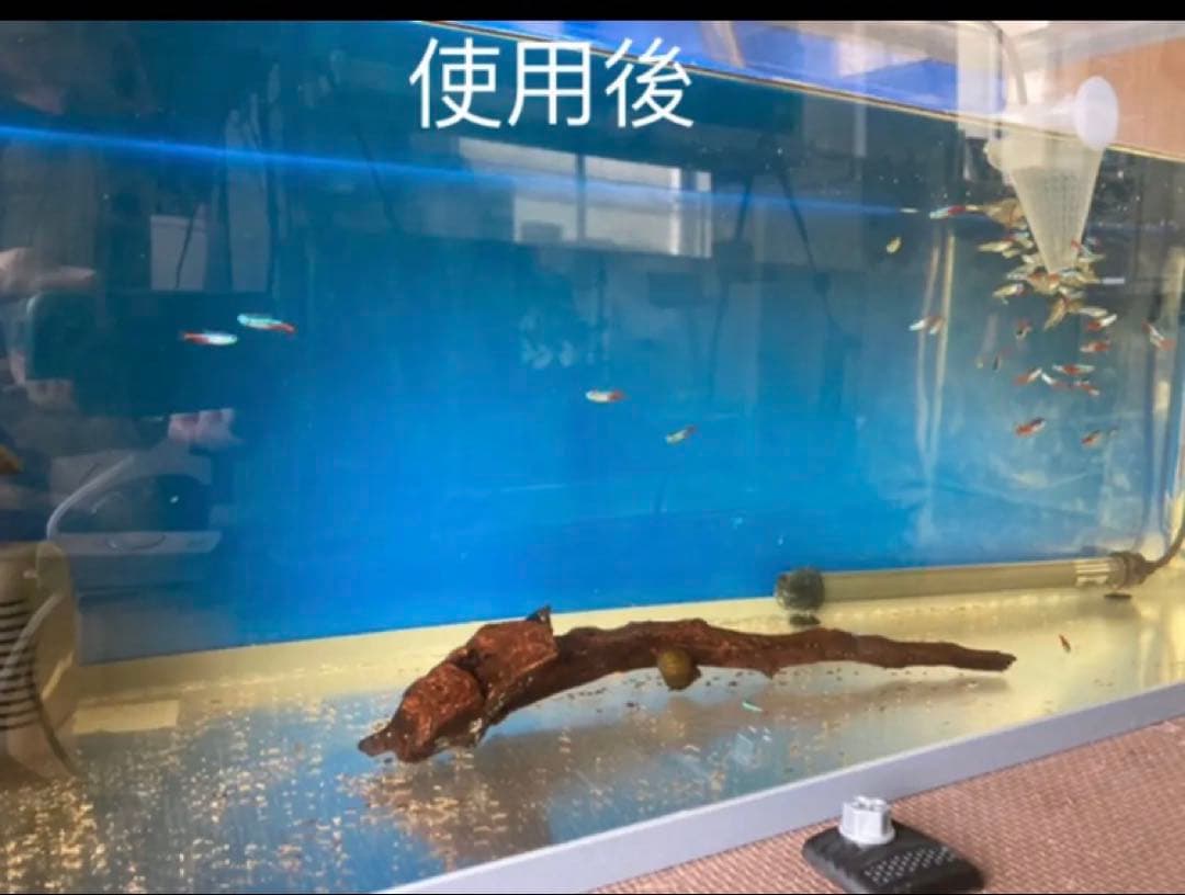 水質浄化抜群濾過材ボールろ材納豆菌入り多孔質パワーボール18L即時発送送料込み