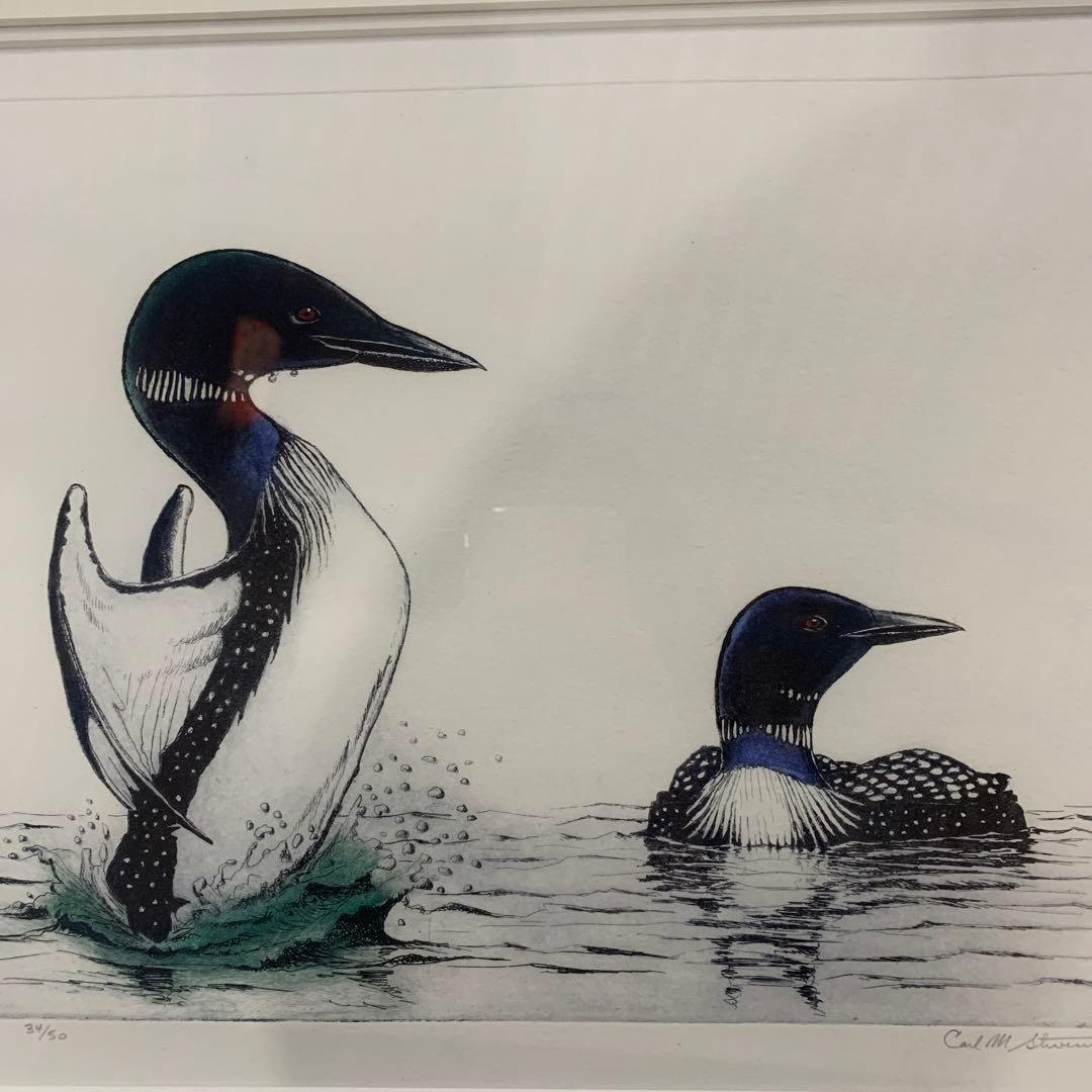 絵画 carl m stevenson