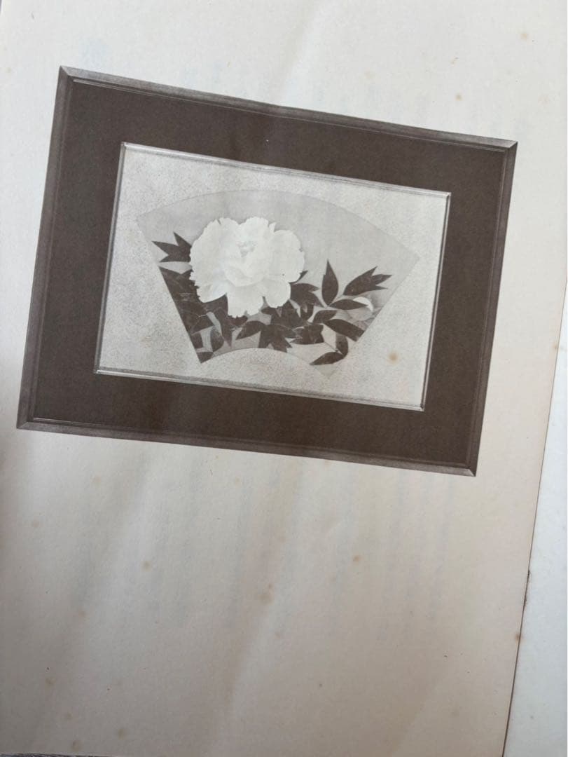 【 上村松篁 / 牡丹】四季 木版画 絵画 280部限定 36番