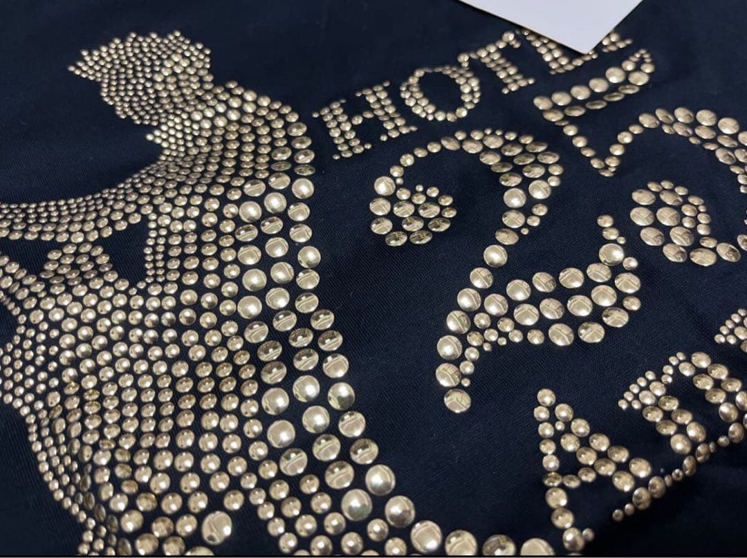 布袋寅泰 25th Tシャツ DRESS CAMPスワロフスキー バック付