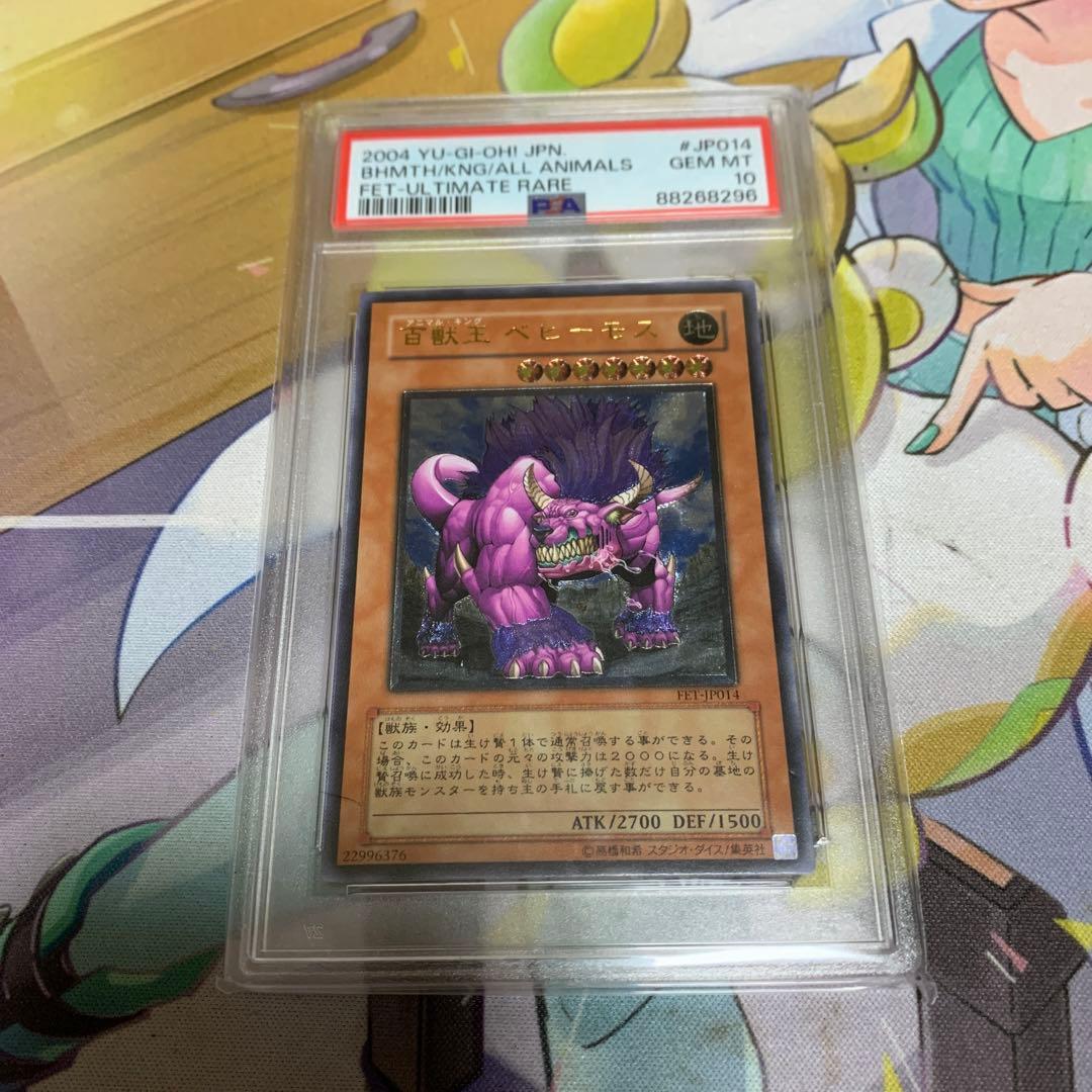 ベヒーモスpsa10