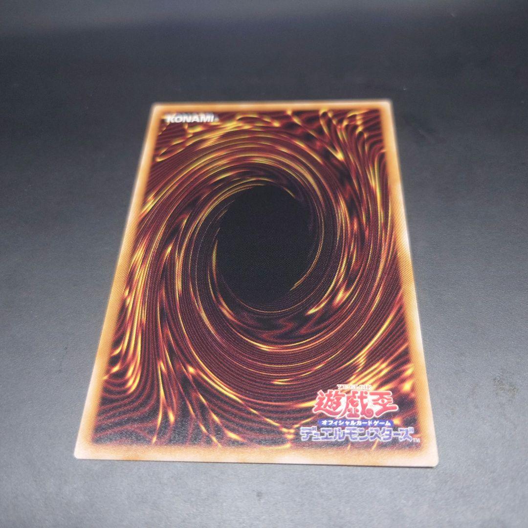 メルカリ便　凍てし心が映す神影 レヴシャドールフュージョン プリズマ プリシク