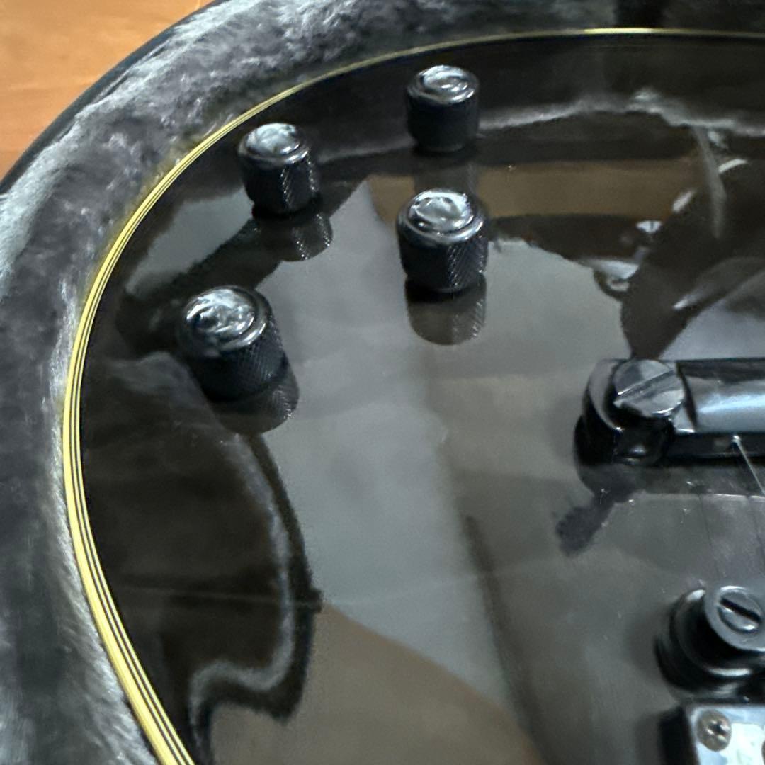 C*s様 Epiphone Les Paul CUSTOM Prophecy P