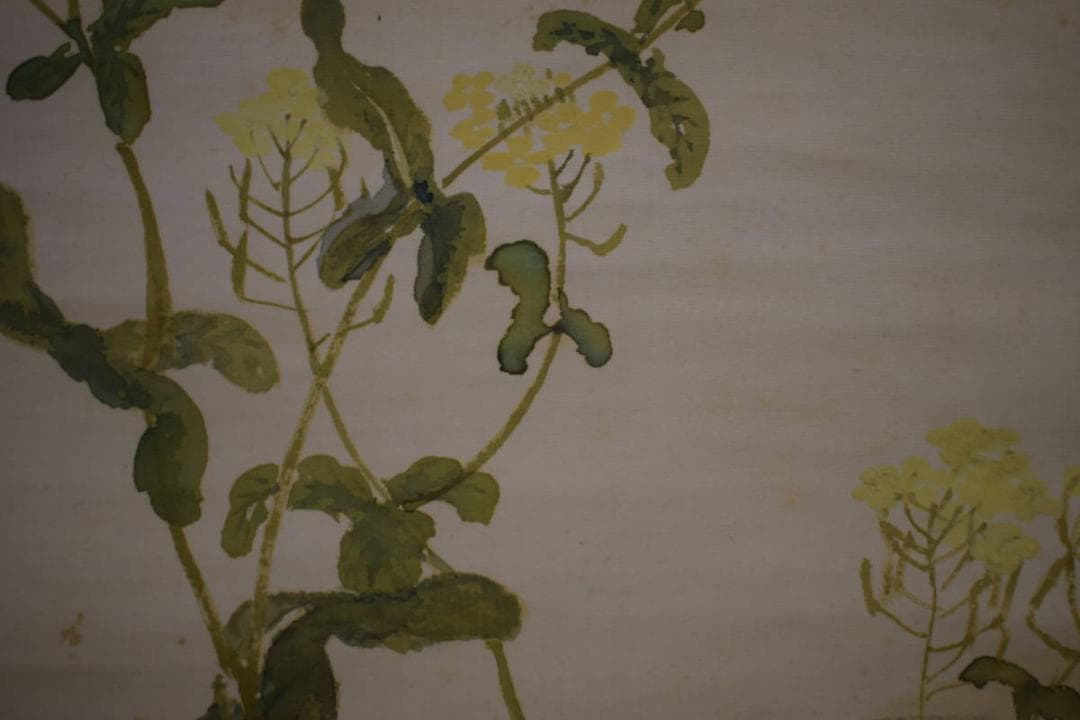 真作/藤井松山/塢午晴/菜の花/小禽図/桐共箱付/布袋屋掛軸HJ-48