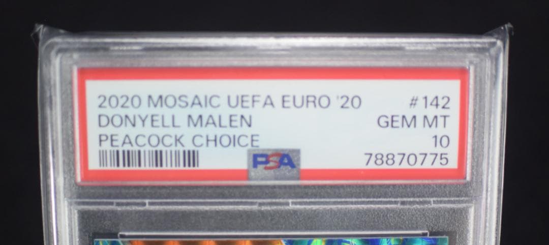 その他 2020 Donyell Malen Mosaic Peacock FIFA